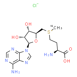 ChemSpider 2D Image | [(3S)-3-Amino-3-carboxypropyl]{[(2S,3S,4R,5R)-5-(6-amino-9H-purin-9-yl)-3,4-dihydroxytetrahydro-2-furanyl]methyl}(~14~C)methylsulfonium chloride | C1414CH23ClN6O5S