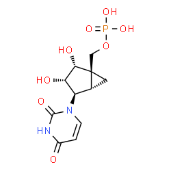 ChemSpider 2D Image | [(1R,2R,3S,4R,5S)-4-(2,4-Dioxo-3,4-dihydro-1(2H)-pyrimidinyl)-2,3-dihydroxybicyclo[3.1.0]hex-1-yl]methyl dihydrogen phosphate | C11H15N2O8P