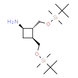 ChemSpider 2D Image | (1R,2R,3S)-2,3-Bis({[dimethyl(2-methyl-2-propanyl)silyl]oxy}methyl)cyclobutanamine | C18H41NO2Si2