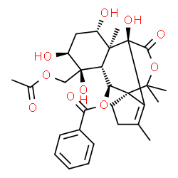 ChemSpider 2D Image | (1S,2S,3R,4S,5S,7S,8S,9S)-4-(Acetoxymethyl)-4,5,7,9-tetrahydroxy-8,11,14,14-tetramethyl-16-oxo-15-oxatetracyclo[7.4.3.0~1,10~.0~3,8~]hexadec-10-en-2-yl benzoate | C29H36O10