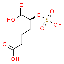 ChemSpider 2D Image | (2S)-2-(Sulfooxy)hexanedioic acid | C6H10O8S