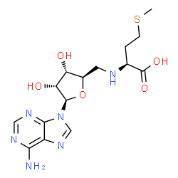 ChemSpider 2D Image | S-(5'-deoxyadenosin-5'-yl)-L-methionine | C15H22N6O5S
