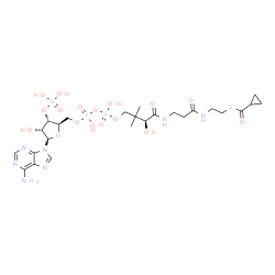 ChemSpider 2D Image | S-{(9S)-1-[(2R,3S,4R,5R)-5-(6-Amino-9H-purin-9-yl)-4-hydroxy-3-(phosphonooxy)tetrahydro-2-furanyl]-3,5,9-trihydroxy-8,8-dimethyl-3,5-dioxido-10,14-dioxo-2,4,6-trioxa-11,15-diaza-3lambda~5~,5lambda~5~-
diphosphaheptadecan-17-yl} cyclopropanecarbothioate | C25H40N7O17P3S