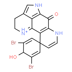 ChemSpider 2D Image | 3,5-Dibromo-4-hydroxy-6'-oxo-2',5',6',7'-tetrahydro-3'H-spiro[cyclohexa-2,5-diene-1,10'-pyrrolo[4,3,2-de][1,7]phenanthrolin[1]ium] | C18H14Br2N3O2