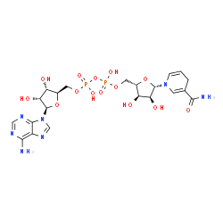 ChemSpider 2D Image | [(2R,3S,4R,5R)-5-(6-aminopurin-9-yl)-3,4-dihydroxy-tetrahydrofuran-2-yl]methyl [[(2S,3R,4S,5S)-5-(3-carbamoyl-4H-pyridin-1-yl)-3,4-dihydroxy-tetrahydrofuran-2-yl]methoxy-hydroxy-phosphoryl] hydrogen phosphate | C21H29N7O14P2