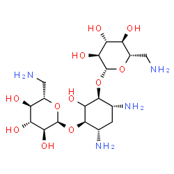 ChemSpider 2D Image | (1R,3S,4R,6S)-4,6-Diamino-3-[(6-amino-6-deoxy-beta-L-glucopyranosyl)oxy]-2-hydroxycyclohexyl 6-amino-6-deoxy-alpha-L-glucopyranoside | C18H36N4O11