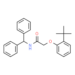 ChemSpider 2D Image | 2-(2-tert-butylphenoxy)-N-(diphenylmethyl)acetamide | C25H27NO2