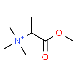 ChemSpider 2D Image | 1-Methoxy-N,N,N-trimethyl-1-oxo-2-propanaminium | C7H16NO2