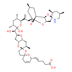 ChemSpider 2D Image | (4E)-5-[(2S,3aR,5R,5'R,6R,6''R,7aR)-2-{(R)-hydroxy[(2R,3R,5S,6S)-2-hydroxy-3,5-dimethyl-6-{3-[(2S,3'S,3aR,5R,5'R,7S,9S,9aR)-3',5',7-trimethylhexahydrospiro[5,9-epoxyfuro[3,2-b]oxocine-2,2'-piperidin]-5(3H)-yl]prop-1-en-2-yl}tetrahydro-2H-pyran-2-yl]methyl}-6-methyl-2,3,3',3'',3a,4',6,6'',7,7a-decahydrodispiro[furo[3,2-b]pyran-5,2'-furan-5',2''-pyran]-6''-yl]pent-4-enoic acid | C47H71NO12