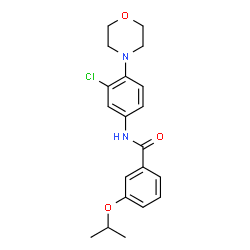 ChemSpider 2D Image | N-[3-Chloro-4-(4-morpholinyl)phenyl]-3-isopropoxybenzamide | C20H23ClN2O3