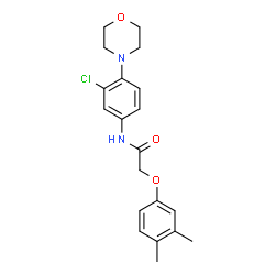 ChemSpider 2D Image | N-[3-Chloro-4-(4-morpholinyl)phenyl]-2-(3,4-dimethylphenoxy)acetamide | C20H23ClN2O3