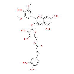 ChemSpider 2D Image | 5,7-Dihydroxy-2-(4-hydroxy-3,5-dimethoxyphenyl)-3-chromeniumyl 5-O-[(2E)-3-(3,4-dihydroxyphenyl)-2-propenoyl]pentofuranoside | C31H29O14