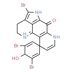 ChemSpider 2D Image | 3,4',5-Tribromo-4-hydroxy-6'-oxo-2',5',6',7'-tetrahydro-3'H-spiro[cyclohexa-2,5-diene-1,10'-pyrrolo[4,3,2-de][1,7]phenanthrolin[1]ium] | C18H13Br3N3O2