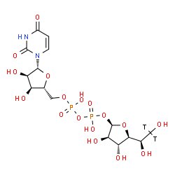ChemSpider 2D Image | (2R,3R,4R,5R)-5-[(1S)-1,2-Dihydroxy(2,2-~3~H_2_)ethyl]-3,4-dihydroxytetrahydro-2-furanyl [(2R,3S,4R,5R)-5-(2,4-dioxo-3,4-dihydro-1(2H)-pyrimidinyl)-3,4-dihydroxytetrahydro-2-furanyl]methyl dihydrogen 
diphosphate | C15H22T2N2O17P2