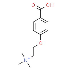 ChemSpider 2D Image | 2-(4-Carboxyphenoxy)-N,N,N-trimethylethanaminium | C12H18NO3