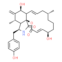ChemSpider 2D Image | (3E,5R,9R,11E,13S,15S,16S,18aS)-5,13-Dihydroxy-16-(4-hydroxybenzyl)-9,15-dimethyl-14-methylene-6,7,8,9,10,12a,13,14,15,15a,16,17-dodecahydro-2H-oxacyclotetradecino[2,3-d]isoindole-2,18(5H)-dione | C29H37NO6
