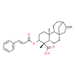 ChemSpider 2D Image | (5beta,8alpha,9beta,10alpha)-3-{[(2E)-3-Phenyl-2-propenoyl]oxy}kaur-16-en-18-oic acid | C29H36O4