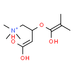 ChemSpider 2D Image | 4,4-Dihydroxy-2-[(1-hydroxy-2-methyl-1-propen-1-yl)oxy]-N,N,N-trimethyl-3-buten-1-aminium | C11H22NO4