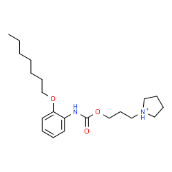 ChemSpider 2D Image | 1-[3-({[2-(Heptyloxy)phenyl]carbamoyl}oxy)propyl]pyrrolidinium | C21H35N2O3