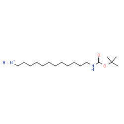 ChemSpider 2D Image | 12-({[(2-Methyl-2-propanyl)oxy]carbonyl}amino)-1-dodecanaminium | C17H37N2O2