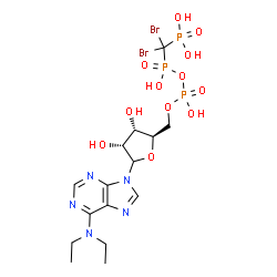 ChemSpider 2D Image | 9-{5-O-[({[Dibromo(phosphono)methyl](hydroxy)phosphoryl}oxy)(hydroxy)phosphoryl]-D-ribofuranosyl}-N,N-diethyl-9H-purin-6-amine | C15H24Br2N5O12P3