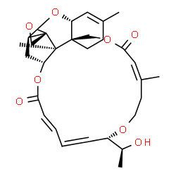 ChemSpider 2D Image | (1'R,2S,3'R,8'R,12'Z,17'S,20'E,24'R,25'S)-17'-[(1S)-1-Hydroxyethyl]-5',13',25'-trimethyl-11'H,22'H-spiro[oxirane-2,26'-[2,10,16,23]tetraoxatetracyclo[22.2.1.0~3,8~.0~8,25~]heptacosa[4,12,18,20]tetraen
e]-11',22'-dione | C29H38O8