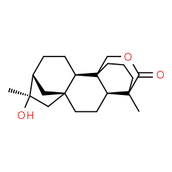 ChemSpider 2D Image | (5beta,8alpha,9beta,10alpha,13alpha)-16-Hydroxy-18,20-epoxykauran-18-one | C20H30O3