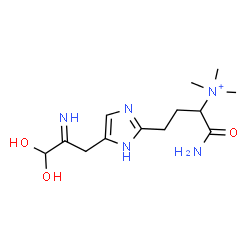 ChemSpider 2D Image | 1-Amino-4-[5-(3,3-dihydroxy-2-iminopropyl)-1H-imidazol-2-yl]-N,N,N-trimethyl-1-oxo-2-butanaminium | C13H24N5O3