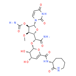ChemSpider 2D Image | (2R,3R,4R,5S)-5-[(1R)-2-Amino-1-{[(2R,3S,4S)-3,4-dihydroxy-6-{[(3R)-2-oxo-3-azepanyl]carbamoyl}-3,4-dihydro-2H-pyran-2-yl]oxy}-2-oxoethyl]-2-(2,4-dioxo-3,4-dihydro-1(2H)-pyrimidinyl)-4-methoxytetrahyd
ro-3-furanyl carbamate | C24H32N6O13