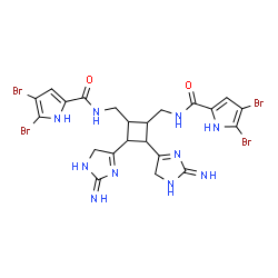 ChemSpider 2D Image | N,N'-{[3,4-Bis(2-imino-2,5-dihydro-1H-imidazol-4-yl)-1,2-cyclobutanediyl]bis(methylene)}bis(4,5-dibromo-1H-pyrrole-2-carboxamide) | C22H22Br4N10O2