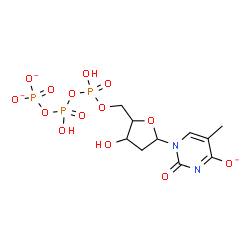 ChemSpider 2D Image | 1-[2-Deoxy-5-O-(hydroxy{[hydroxy(phosphonatooxy)phosphoryl]oxy}phosphoryl)pentofuranosyl]-5-methyl-2-oxo-1,2-dihydro-4-pyrimidinolate | C10H14N2O14P3
