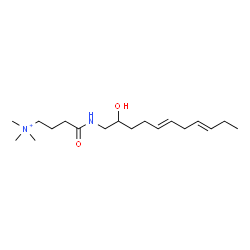 ChemSpider 2D Image | 4-{[(5E,8E)-2-Hydroxy-5,8-undecadien-1-yl]amino}-N,N,N-trimethyl-4-oxo-1-butanaminium | C18H35N2O2