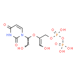 ChemSpider 2D Image | (2E)-2-{[(E)-1-(2,4-Dioxo-3,4-dihydro-1(2H)-pyrimidinyl)-2-hydroxyvinyl]oxy}-3-hydroxy-2-propen-1-yl trihydrogen diphosphate | C9H12N2O12P2