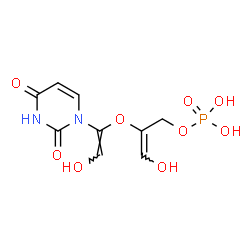 ChemSpider 2D Image | (2E)-2-{[(E)-1-(2,4-Dioxo-3,4-dihydro-1(2H)-pyrimidinyl)-2-hydroxyvinyl]oxy}-3-hydroxy-2-propen-1-yl dihydrogen phosphate | C9H11N2O9P