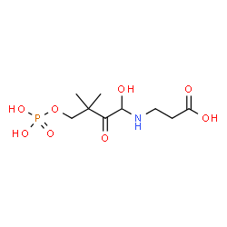ChemSpider 2D Image | N-[1-Hydroxy-3,3-dimethyl-2-oxo-4-(phosphonooxy)butyl]-beta-alanine | C9H18NO8P