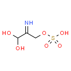 ChemSpider 2D Image | 3,3-Dihydroxy-2-iminopropyl hydrogen sulfate | C3H7NO6S