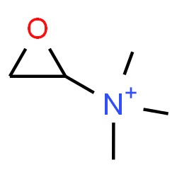 ChemSpider 2D Image | N,N,N-Trimethyl-2-oxiranaminium | C5H12NO