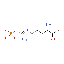 ChemSpider 2D Image | [N'-(5,5-Dihydroxy-4-iminopentyl)carbamimidoyl]phosphoramidic acid | C6H15N4O5P
