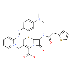 ChemSpider 2D Image | 1-({2-Carboxy-8-oxo-7-[(2-thienylacetyl)amino]-5-thia-1-azabicyclo[4.2.0]oct-2-en-3-yl}methyl)-2-{(E)-[4-(dimethylamino)phenyl]diazenyl}pyridinium | C27H27N6O4S2