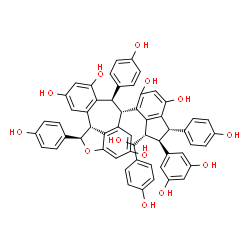 ChemSpider 2D Image | (1R,6S,7R,11bR)-6-[(1S,2R,3S)-2-(3,5-Dihydroxyphenyl)-5,7-dihydroxy-3-[(R)-hydroxy(4-hydroxyphenyl)methyl]-1-(4-hydroxyphenyl)-2,3-dihydro-1H-inden-4-yl]-1,7-bis(4-hydroxyphenyl)-1,6,7,11b-tetrahydro-
2-oxadibenzo[cd,h]azulene-4,8,10-triol | C56H44O13