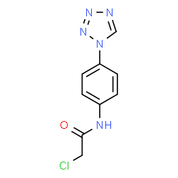 ChemSpider 2D Image | 2-Chloro-N-[4-(1H-tetrazol-1-yl)phenyl]acetamide | C9H8ClN5O