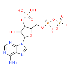 ChemSpider 2D Image | 9-{5-O-[Hydroxy(sulfooxy)phosphoryl]-3-O-phosphonopentofuranosyl}-9H-purin-6-amine | C10H15N5O13P2S