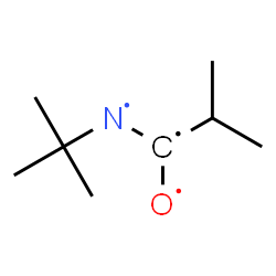 ChemSpider 2D Image | 1-(tert-butyl-$l^{2}-azanyl)-1-$l^{1}-oxidanyl-2-methyl-propane | C8H16NO
