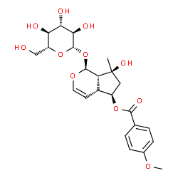 ChemSpider 2D Image | (1S,4aR,5R,7S,7aS)-1-(beta-D-Glucopyranosyloxy)-7-hydroxy-7-methyl-1,4a,5,6,7,7a-hexahydrocyclopenta[c]pyran-5-yl 4-methoxybenzoate | C23H30O11