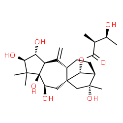 ChemSpider 2D Image | (2alpha,3beta,6beta,14R)-2,3,5,6,16-Pentahydroxygrayanotox-10-en-14-yl (2S,3S)-3-hydroxy-2-methylbutanoate | C25H40O8
