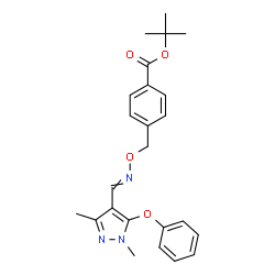 ChemSpider 2D Image | 1,1-Dimethylethyl 4-[[[[(1,3-dimethyl-5-phenoxy-1H-pyrazol-4-yl)methylene]amino]oxy]methyl]benzoate | C24H27N3O4