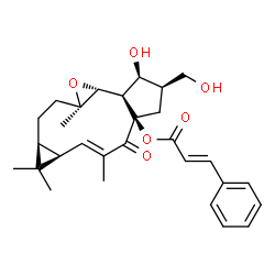 ChemSpider 2D Image | (1aR,1bR,2S,3R,4aR,6E,7aR,8aS,10aR)-2-Hydroxy-3-(hydroxymethyl)-6,8,8,10a-tetramethyl-5-oxo-1a,1b,2,3,4,5,7a,8,8a,9,10,10a-dodecahydro-4aH-cyclopenta[10,11]cyclopropa[5,6]cycloundeca[1,2-b]oxiren-4a-y
l (2E)-3-phenylacrylate | C29H36O6
