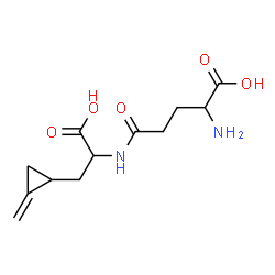 ChemSpider 2D Image | gamma-Glutamyl-3-(2-methylenecyclopropyl)alanine | C12H18N2O5
