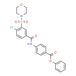 ChemSpider 2D Image | Phenyl 4-{[4-chloro-3-(4-morpholinylsulfonyl)benzoyl]amino}benzoate | C24H21ClN2O6S