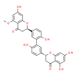 ChemSpider 2D Image | (2R)-2-{2',6-Dihydroxy-5'-[(2R)-7-hydroxy-5-methoxy-4-oxo-3,4-dihydro-2H-chromen-2-yl]-3-biphenylyl}-5,7-dihydroxy-2,3-dihydro-4H-chromen-4-one | C31H24O10